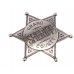 Значок шерифа Denix D7/113NQ (никель, шестиконечная звезда)