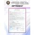 Пневматический пистолет KrugerGun Корсар 6.35 мм (D42, ствол 240, прямоток, манометр, пластик)