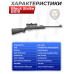 Пневматическая винтовка Black Strike B010 4.5 мм подарочный набор Hunter №2 (прицел, кольца, чехол, очки, набор для чистки, мишени, пули)