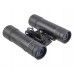 Бинокль Borner Roof BK-7 10x25