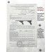 Макет пистолета Denix Luger Parabellum P08 (1898 год, Германия, удлиненный ствол)