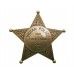 Значок Индейской полиции D7/108 (пятиконечная звезда)